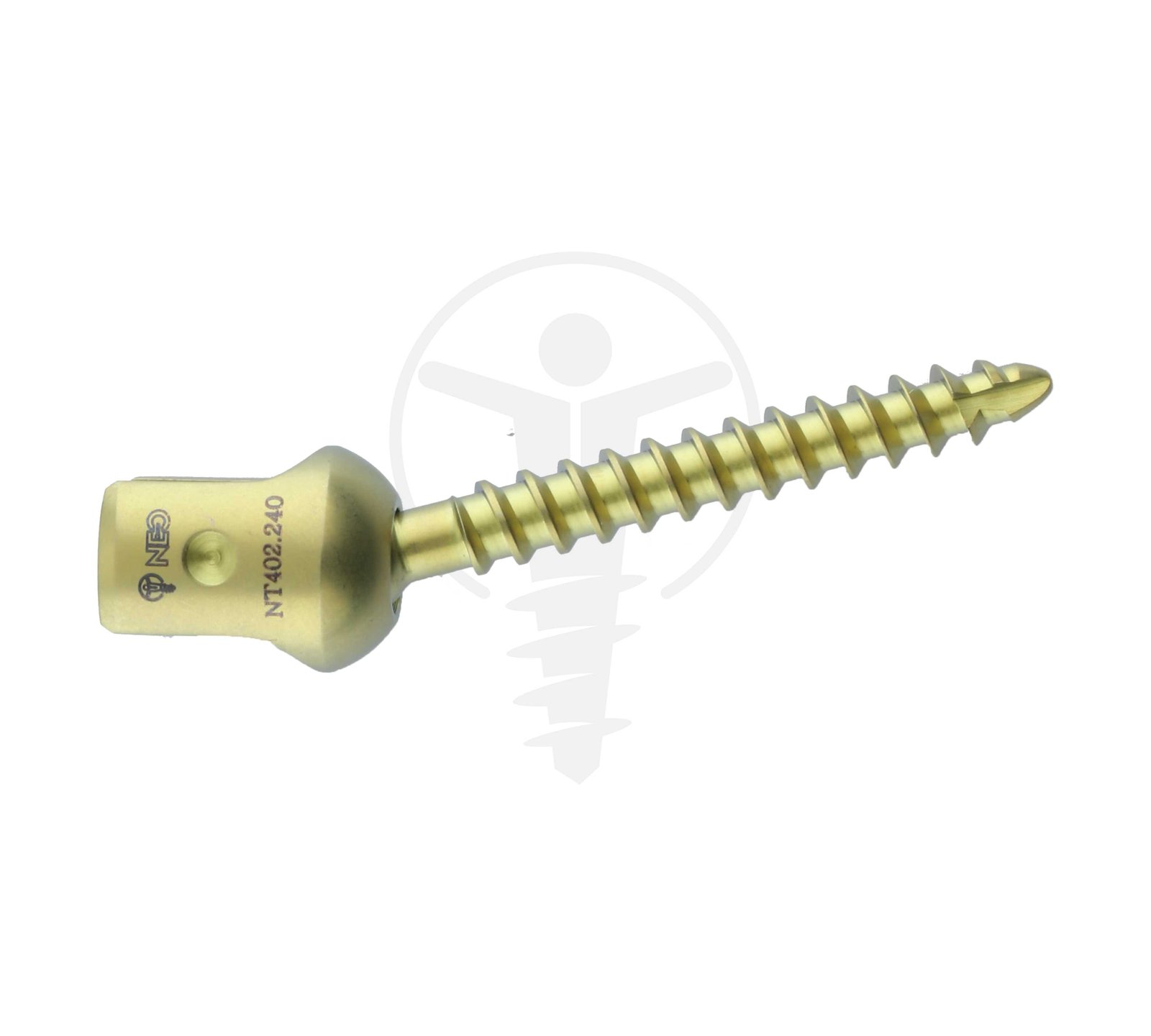 ECO POLYAXIAL SCREW TT