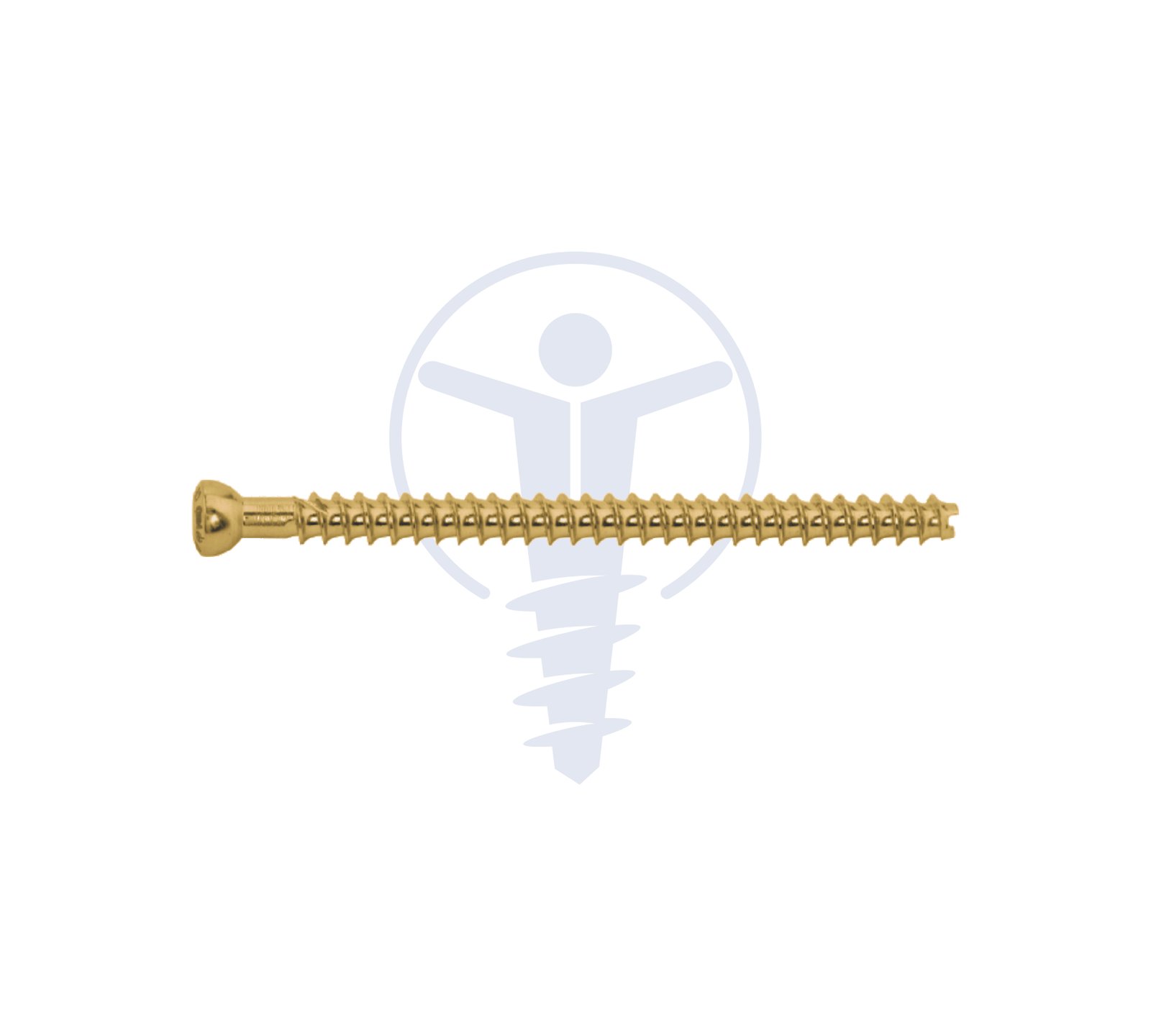 C.C. SCREW Ø4.0mm Full Thread TT
