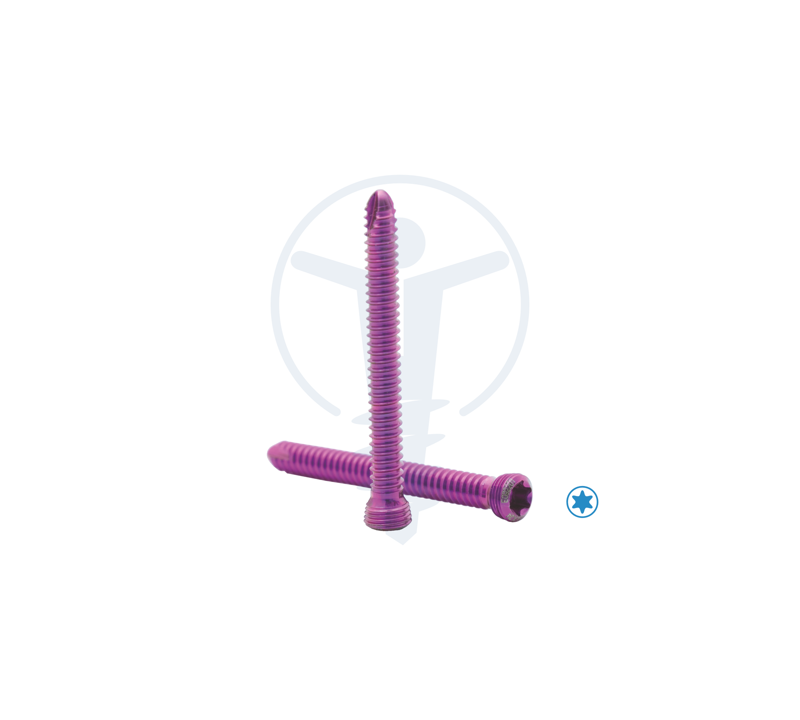NEON LCP HEAD SCREW Ø2.4mm T8 TT