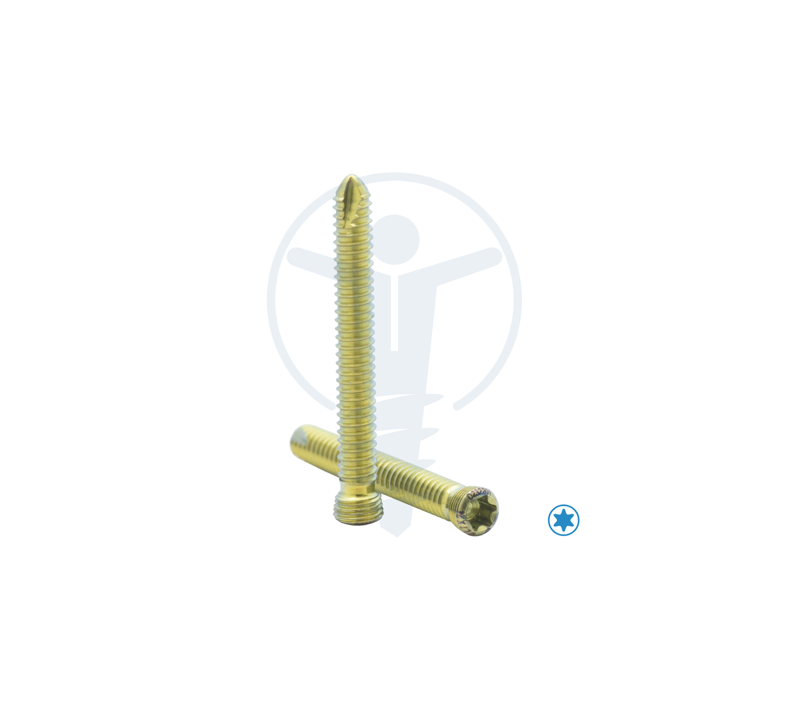 NEON LCP HEAD SCREW Ø2.7mm T8 TT