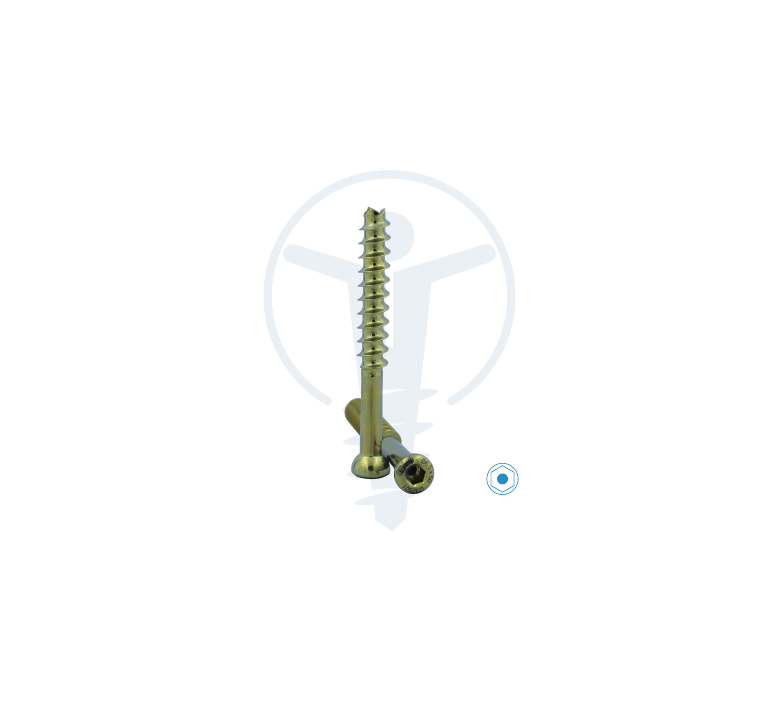 C.C. SCREW Ø6.5mm 32mm Thread TT