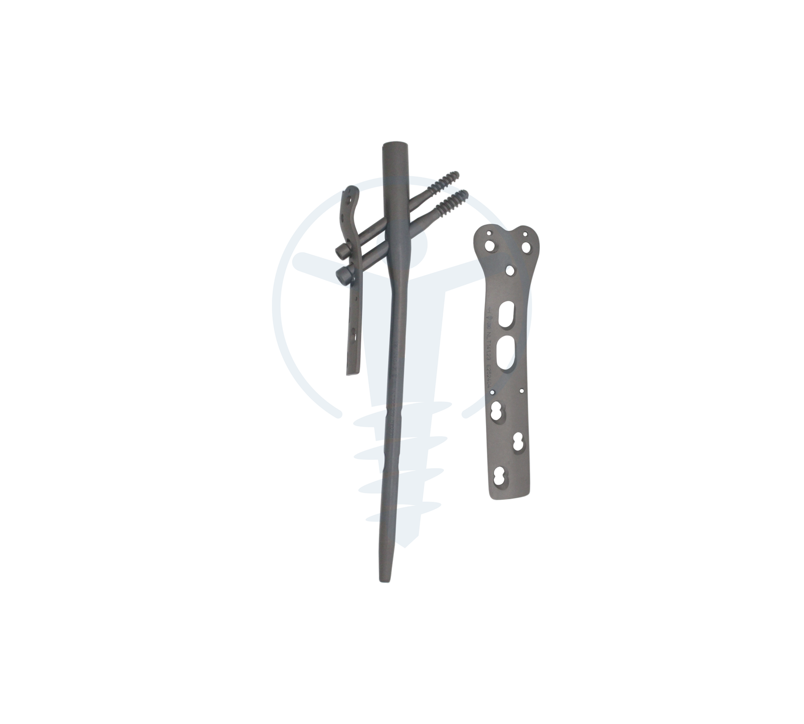 NEON LCP G.T. SUPPORT PLATE - PFN TT